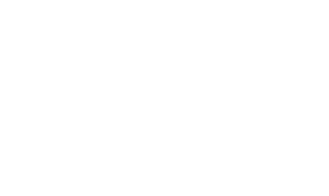 northwestern university logo
