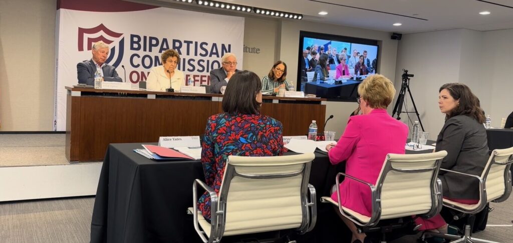 Bipartisan Commission Panel