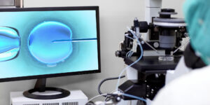 IVF laboratory