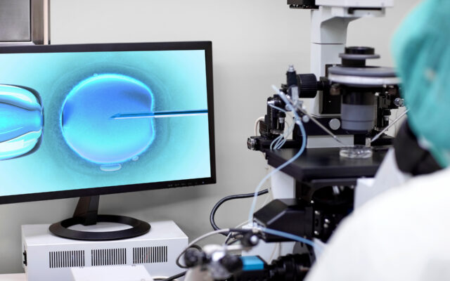 IVF laboratory