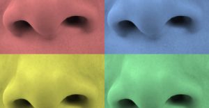 blog-nose-quad-1200x901