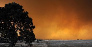 colorado-fires