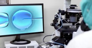 IVF laboratory