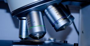 microscope-slide-research-close-up-60022-1